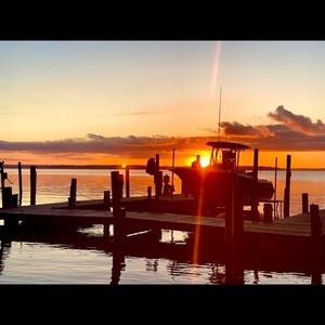 Meet your Posher, Terry